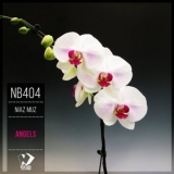 Niaz Muz - Angels '2025