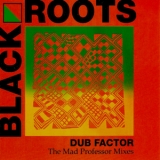 Black Roots - Dub Factor - The Mad Professor Mixes '1991