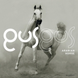 Gusgus - Arabian Horse '2011