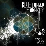 Blue Lunar Monkey - Here & Now '2011