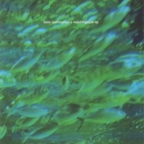 Bass Communion & Muslimgauze - Bass Communion V Muslimgauze EP '2000 - Collaboration
