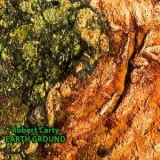 Robert Carty - Earth Ground '1995