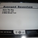 Avenged Sevenfold - Seize The Day '2006