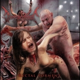 Diminished - Rectal Torment '2010 - Album