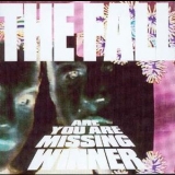 The Fall - Are You Are Missing Winner '2001
