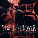 Pig Destroyer - 38 Counts Of Battery '2000
