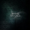 Artrosis - Imago '2011