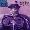 Mr. Big - Hey Man '1996