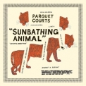 Parquet Courts - Sunbathing Animal '2014