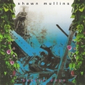 Shawn Mullins - Better Days '1992