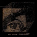 Asaf Avidan - Gold Shadow '2015