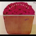 Raspberries - Side 3 '1973