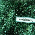 Roedelius - Roedeliusweg '2000