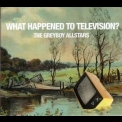 Greyboy Allstars, The - What Happened To Television '2007