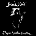 Bernd Steidl - Psycho Acoustic Overture '1991