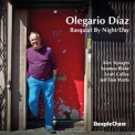 Olegario Diaz - Basquiat By Night/Day '2014