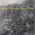 Jerry Harrison : Casual Gods -  Jerry Harrison : Casual Gods '1988