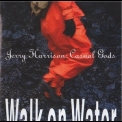 Jerry Harrison : Casual Gods - Walk On Water '1990
