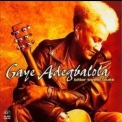 Gaye Adegbalola - Bitter Sweet Blues '1999