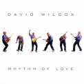David Wilcox - Rhythm Of Love '2001
