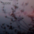 Televise - Sometimes Slendid Confusion '2008