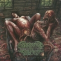 Extirpating The Infected - Reborn In Putrefaction '2014