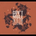 Gov't Mule - The Tel-Star Sessions '2016