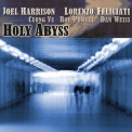 Joel Harrison - Holy Abyss '2012