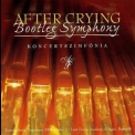 After Crying - Bootleg Symphony '2000