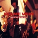 Bump Of Chicken - Flame Vein +1 'April 28, 2004