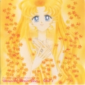 Bishoujo Senshi Sailormoon - Memorial Music Box Disc 1 '1998