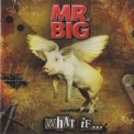 Mr. Big - What If... '2011