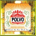 Polvo - Celebrate The New Dark Age '1994