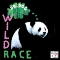 Dr. Dog - Wild Race '2012