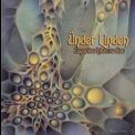 Under Linden - Espacios Intermedios '2013