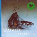 Cakewalk - Transfixed '2013