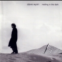 Steve Wynn - Melting In The Dark '1996