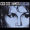 Cee Cee James - Low Down Where The Snakes Crawl '2008