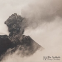 Flashbulb, The - Piety Of Ashes '2017
