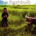 Flashbulb, The - Resent And The April Sunshine Shed '2003
