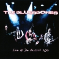 Bluesbones, The - Live @ De Bosuil '2013