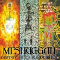 Meshuggah - Destroy Erase Improve '2013