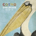 Cosmo Sheldrake - Pelicans We '2015