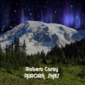 Robert Carty - Aurora Skies '2018