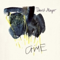 David Mayer - Crime '2010