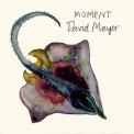 David Mayer - Moment '2011