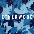 Etherwood - Blue Leaves '2015