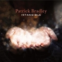 Patrick Bradley - Intangible '2017