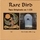 Rare Bird - 1st / Somebody's Watching '1997