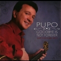 Pupo - Goodbye Is Not Forever '2008